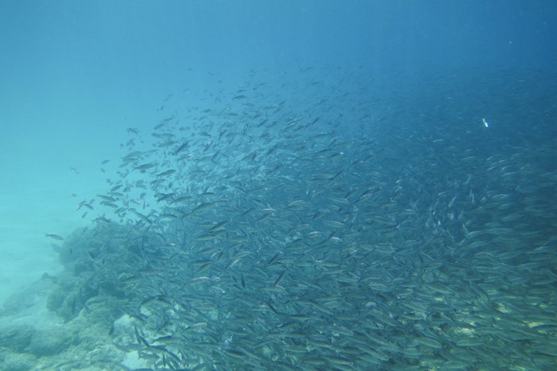 DSC00036