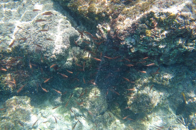 DSC00038