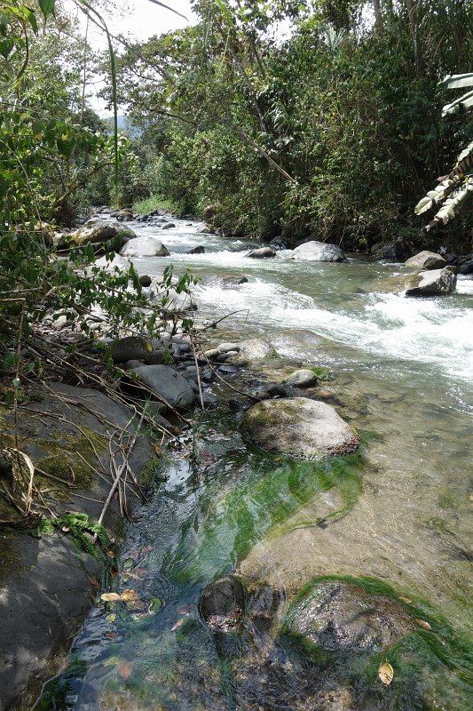 DSC01569