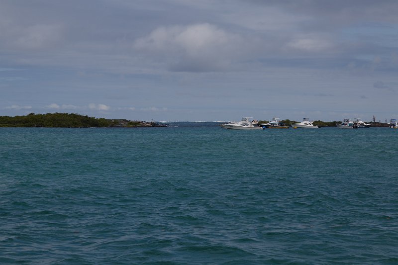FL6A0865