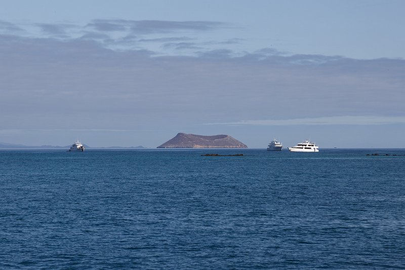 FL6A0872