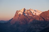 IMG_9493
